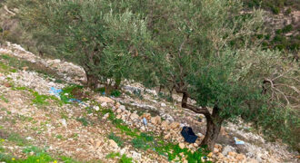 Land for Sale Bejjeh Jbeil Area 1485Sqm