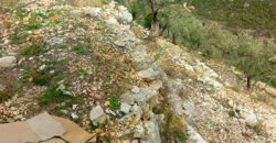 Land for Sale Bejjeh Jbeil Area 1485Sqm