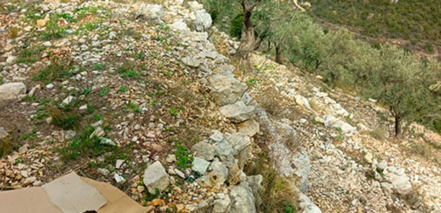 Land for Sale Bejjeh Jbeil Area 1485Sqm