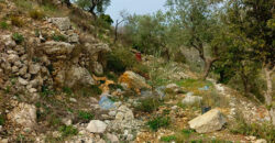 Land for Sale Bejjeh Jbeil Area 1485Sqm