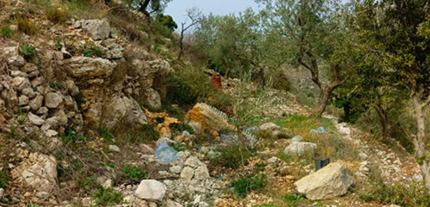 Land for Sale Bejjeh Jbeil Area 1485Sqm