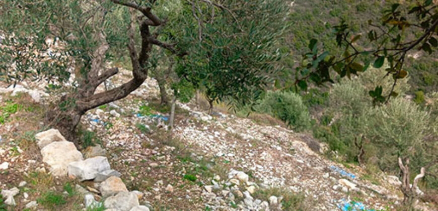 Land for Sale Bejjeh Jbeil Area 1485Sqm