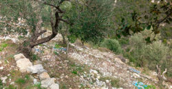 Land for Sale Bejjeh Jbeil Area 1485Sqm