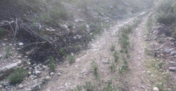 Land for Sale Mazraat Aassaf Bsharri Area 4350Sqm