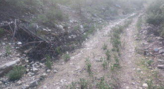 Land for Sale Mazraat Aassaf Bsharri Area 4350Sqm