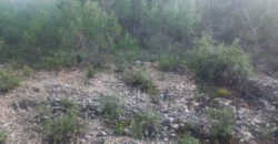 Land for Sale Mazraat Aassaf Bsharri Area 4350Sqm