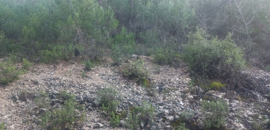 Land for Sale Mazraat Aassaf Bsharri Area 4350Sqm