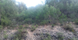 Land for Sale Mazraat Aassaf Bsharri Area 4350Sqm