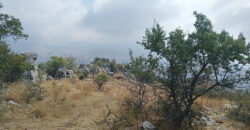 Land for Sale Hrajel Kesserwan Area 19392Sqm