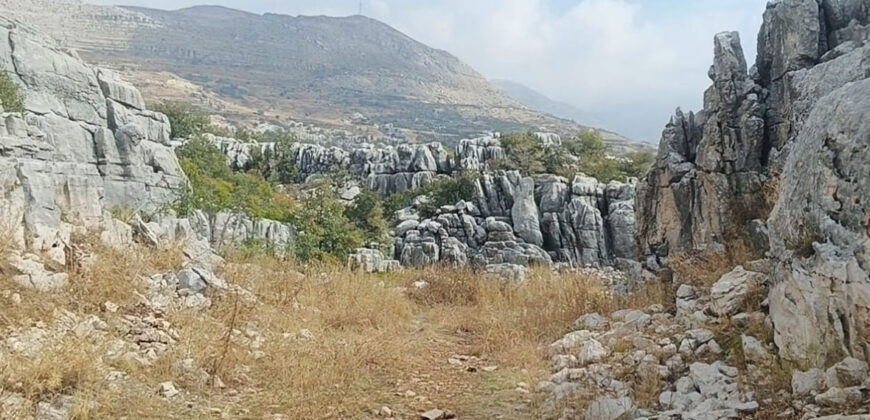 Land for Sale Hrajel Kesserwan Area 19392Sqm