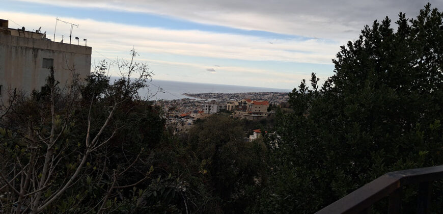 Land for Sale Blat ( Mastita ) Jbeil Area 720Sqm