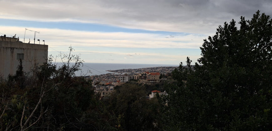 Land for Sale Blat ( Mastita ) Jbeil Area 720Sqm