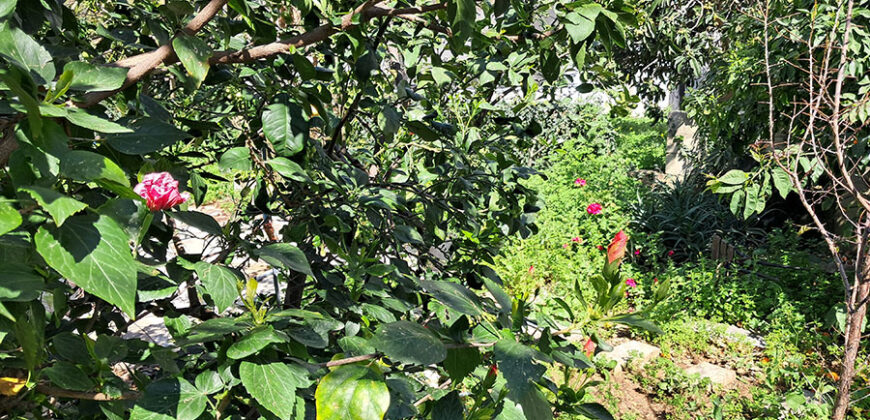 House for Sale Aamchit Jbeil Housing Area 160Sqm Land Area 500Sqm