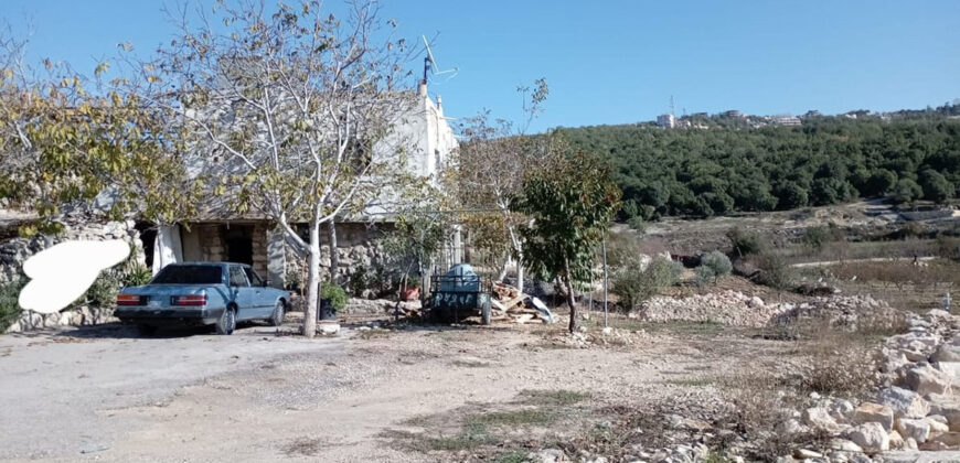 House for Sale Mechmech Jbeil Housing Two Floors Area 224Sqm Terrace 110Sqm Land Area 1300Sqm