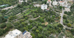 Old House for Sale Aamchit Jbeil Housing Area 400Sqm Land Area 13800Sqm
