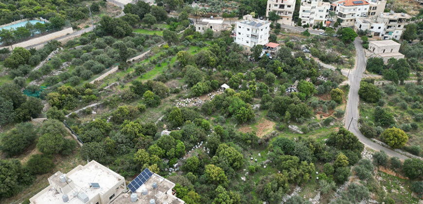 Old House for Sale Aamchit Jbeil Housing Area 400Sqm Land Area 13800Sqm