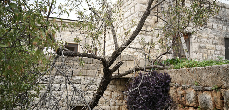 Old House for Sale Aamchit Jbeil Housing Area 400Sqm Land Area 13800Sqm