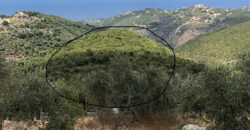 Land for Sale Aabdelali Batroun Area 4795Sqm