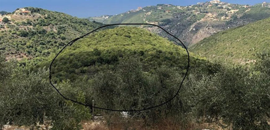 Land for Sale Aabdelali Batroun Area 4795Sqm