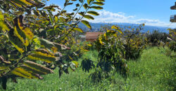 Land for Sale Aamchit Jbeil Area 525Sqm