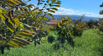 Land for Sale Aamchit Jbeil Area 525Sqm