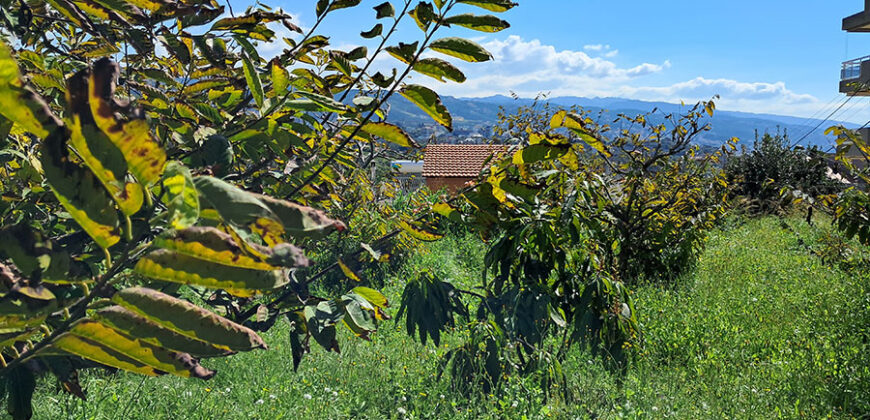 Land for Sale Aamchit Jbeil Area 525Sqm