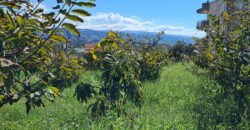 Land for Sale Aamchit Jbeil Area 525Sqm