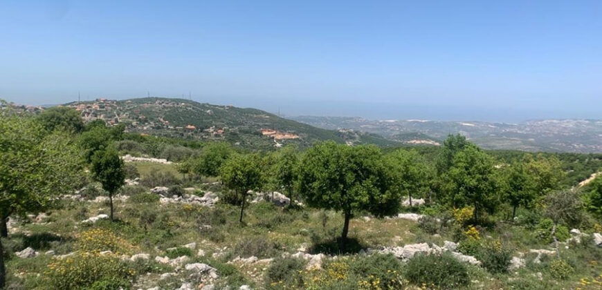 Land for Sale Aassia Batroun Area 1526Sqm