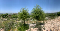 Land for Sale Aassia Batroun Area 1526Sqm