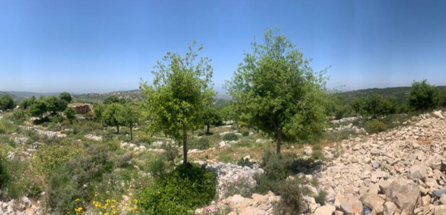 Land for Sale Aassia Batroun Area 1526Sqm