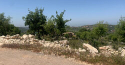 Land for Sale Aassia Batroun Area 1526Sqm