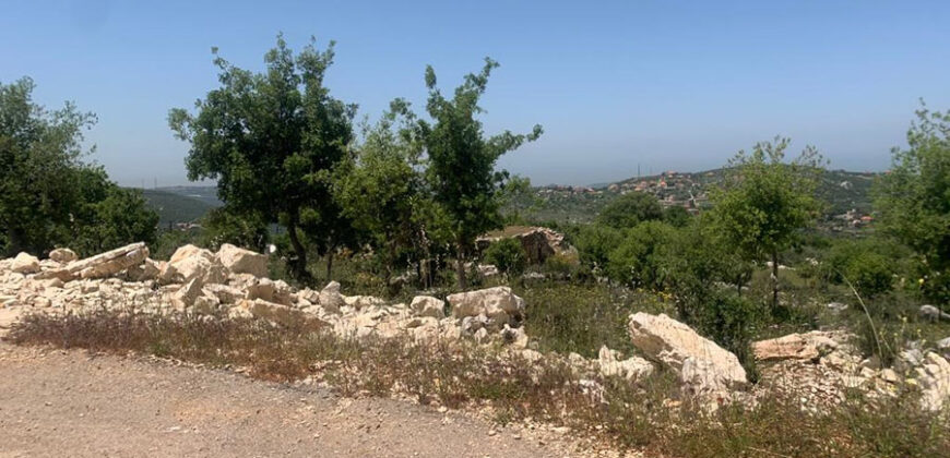 Land for Sale Aassia Batroun Area 1526Sqm
