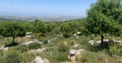 Land for Sale Aassia Batroun Area 1526Sqm