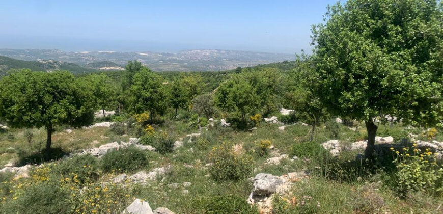 Land for Sale Aassia Batroun Area 1526Sqm