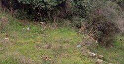 Land for Sale Hardine – Beit Kassab Batroun Area 507Sqm