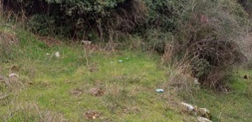 Land for Sale Hardine – Beit Kassab Batroun Area 507Sqm