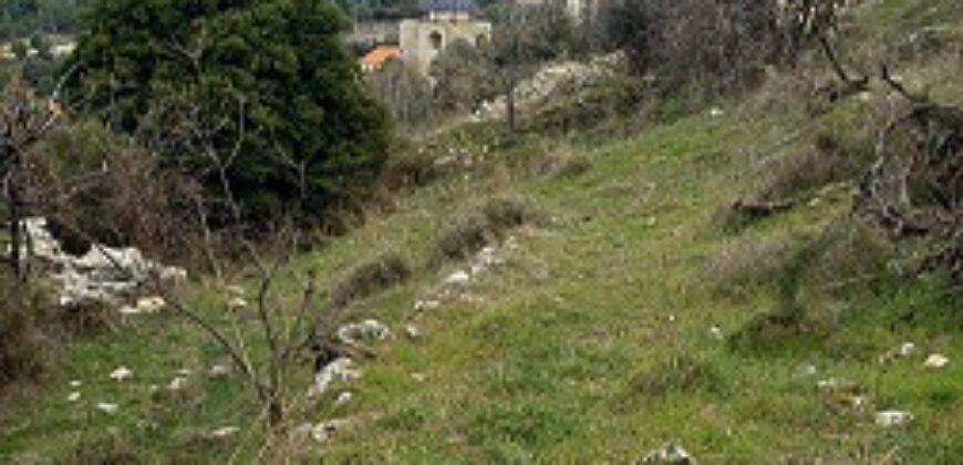 Land for Sale Hardine – Beit Kassab Batroun Area 507Sqm
