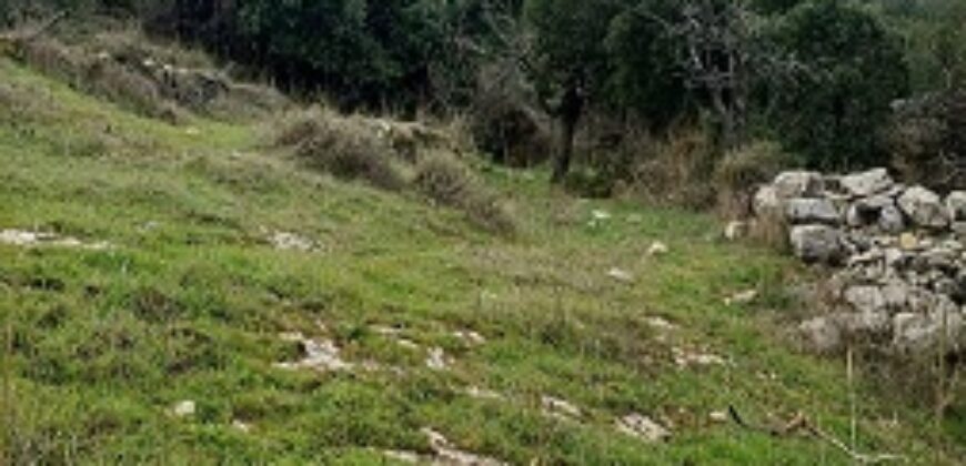 Land for Sale Hardine – Beit Kassab Batroun Area 507Sqm