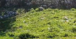 Land for Sale Kharbeh Jbeil Area 1993Sqm & Natural Stone Vault ( Arch 43Sqm ).