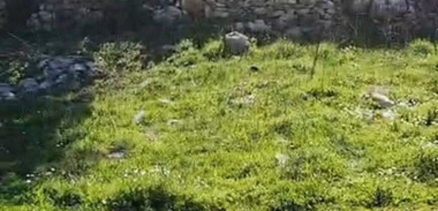 Land for Sale Kharbeh Jbeil Area 1993Sqm & Natural Stone Vault ( Arch 43Sqm ).