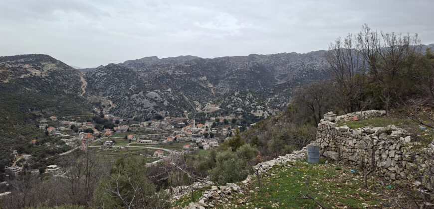 Land for Sale Tartij Jbeil Area 3623Sqm