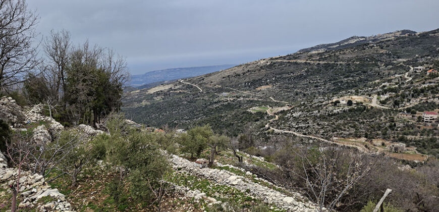 Land for Sale Tartij Jbeil Area 3623Sqm