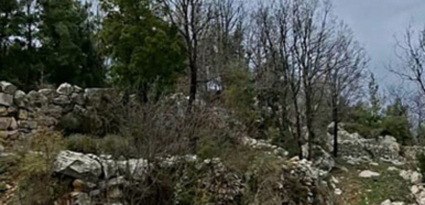 Land for Sale Tartij Jbeil Area 3623Sqm