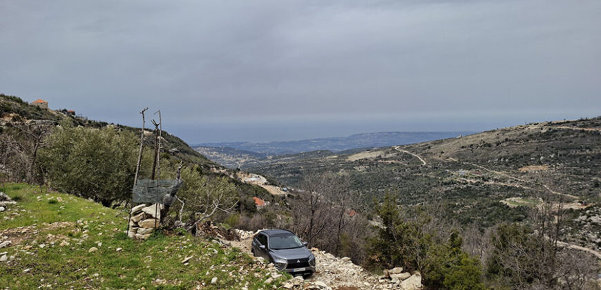 Land for Sale Tartij Jbeil Area 3623Sqm