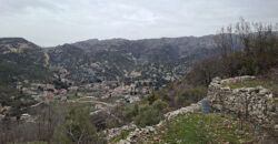 Land for Sale Tartij Jbeil Area 3623Sqm