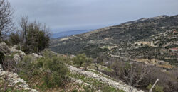 Land for Sale Tartij Jbeil Area 3623Sqm