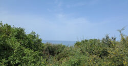 Land for Sale Monsef Jbeil Area 6545Sqm