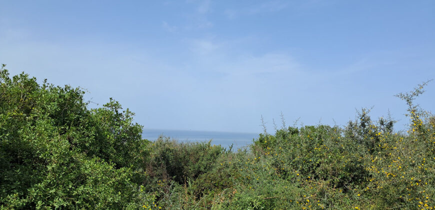 Land for Sale Monsef Jbeil Area 6545Sqm