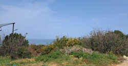 Land for Sale Monsef Jbeil Area 6545Sqm