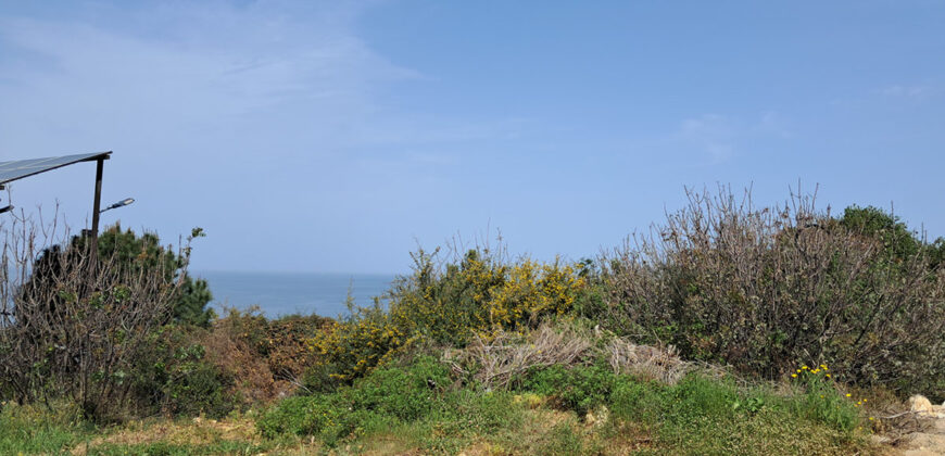 Land for Sale Monsef Jbeil Area 6545Sqm